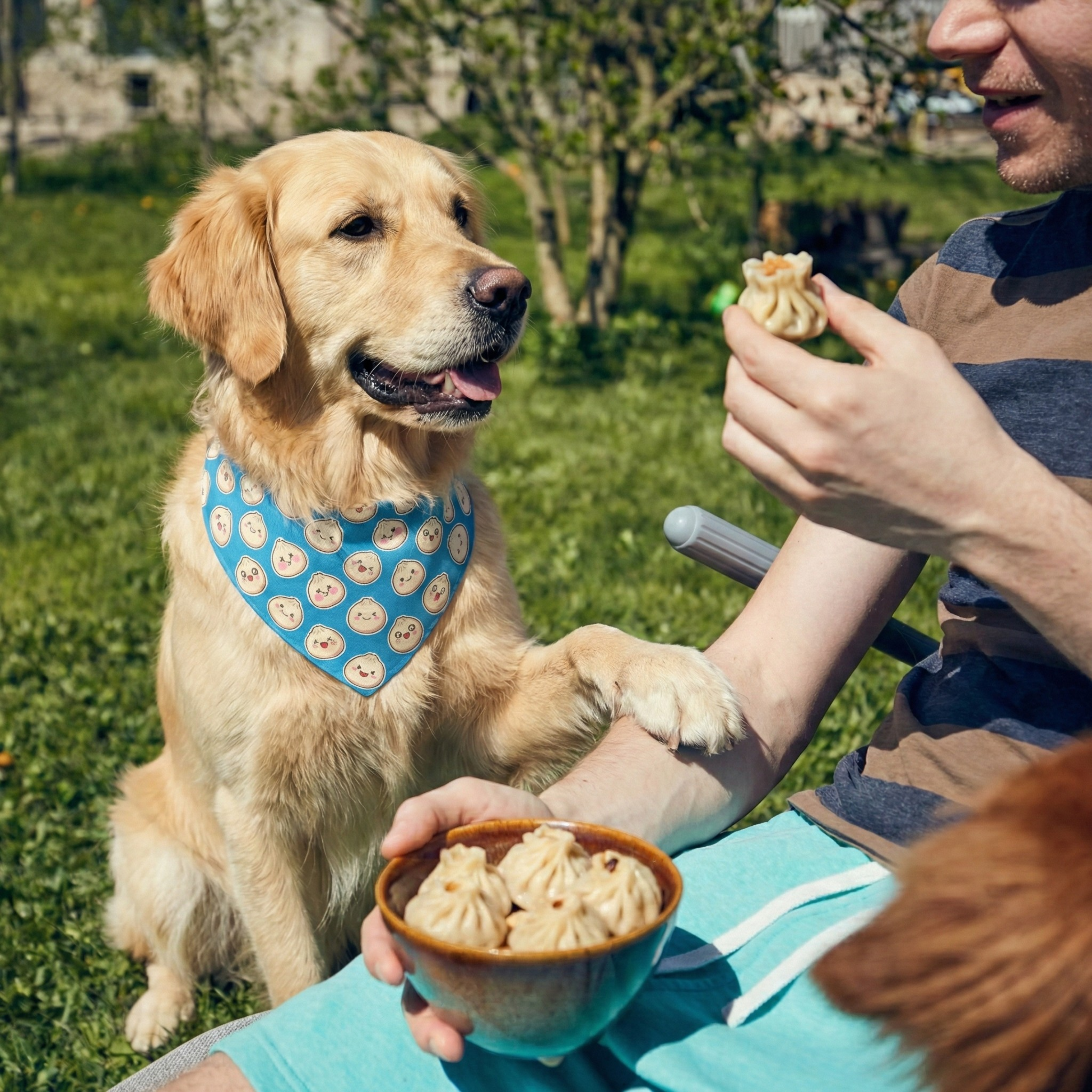 Kawaii Shumai Blue Dog Bandana Collar