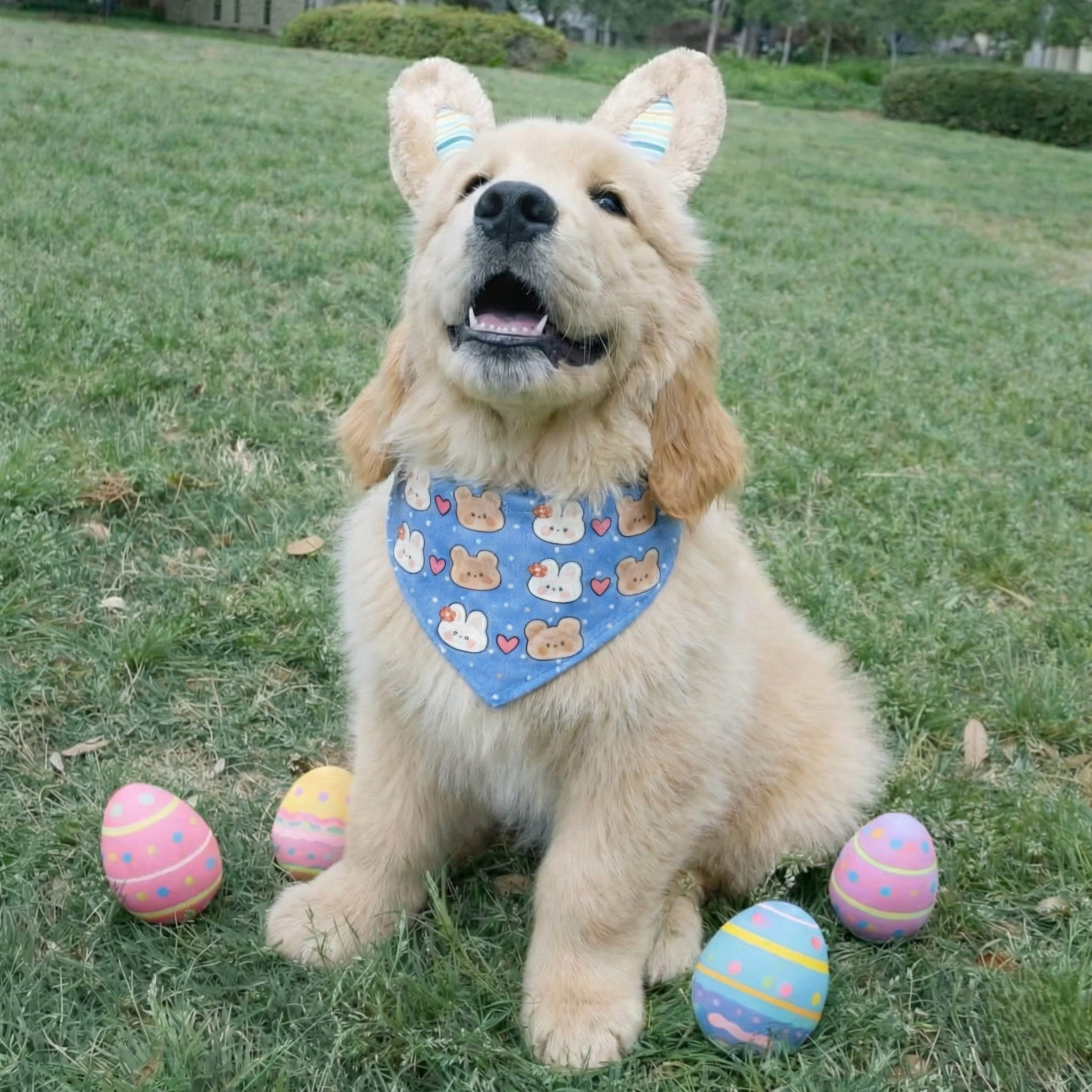 Bunnies & Bears Pastel Blue Dog Bandana