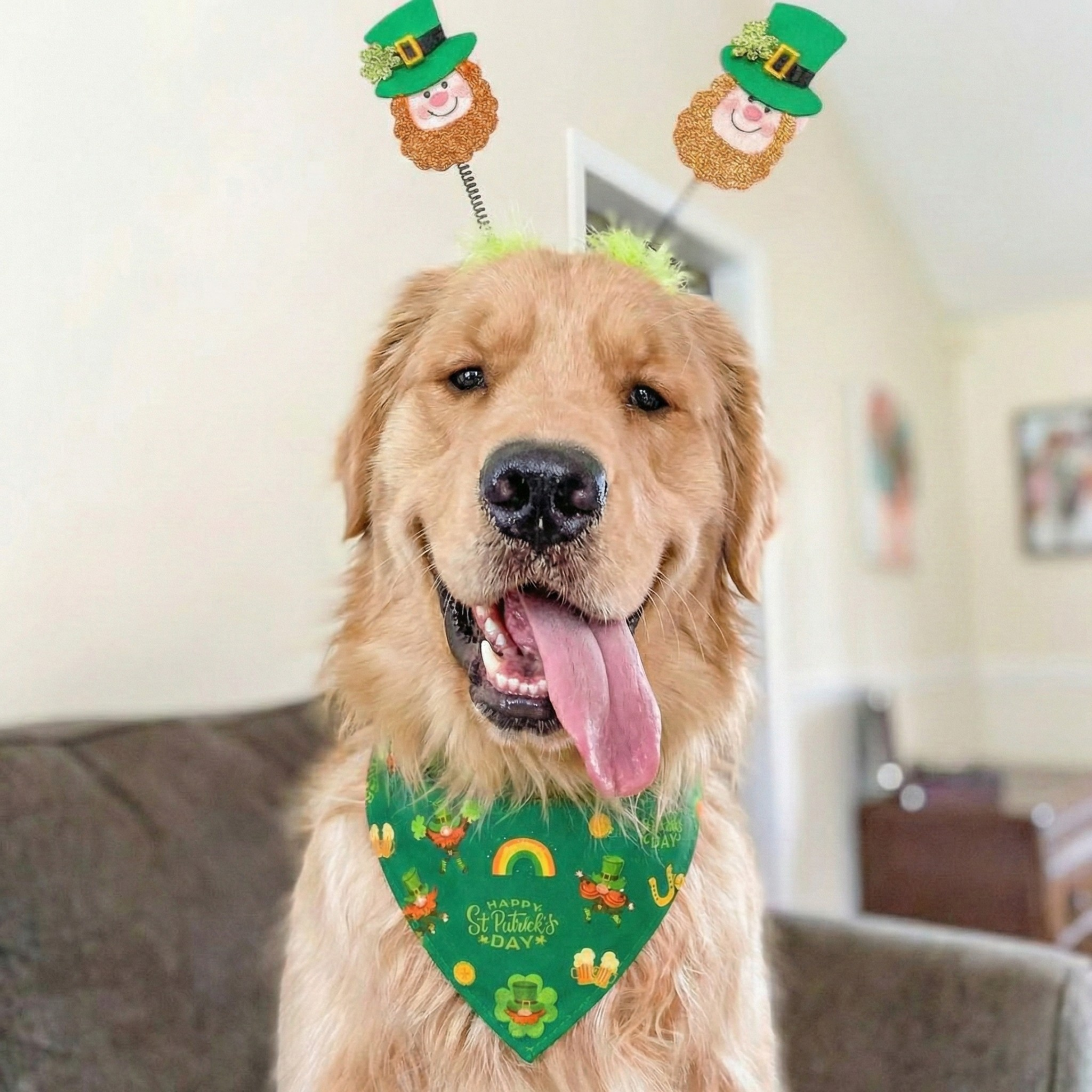 Dancing Leprechaun St. Patrick’s Day Green Dog Bandana
