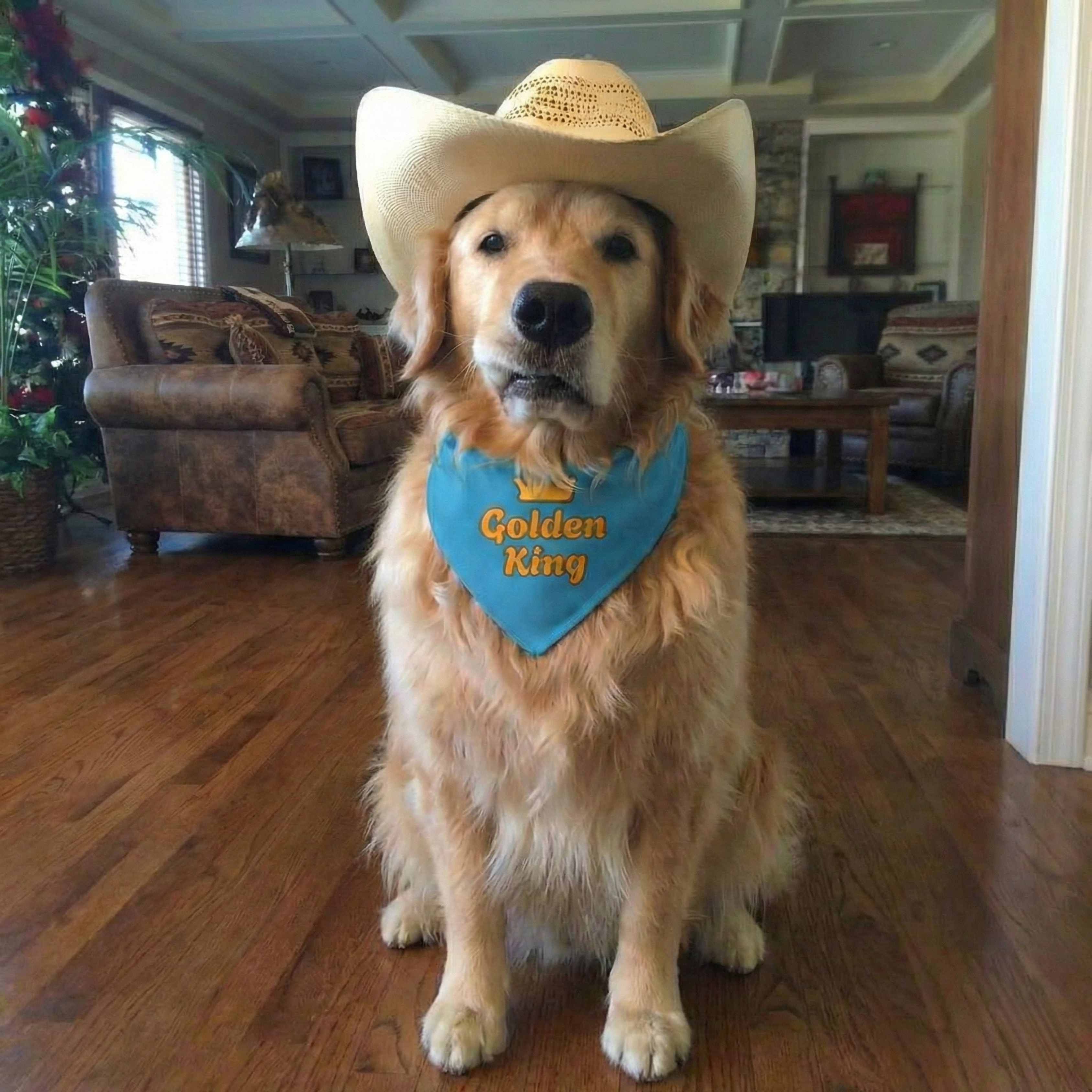 Golden King Adjustable Dog Blue Bandana Collar