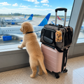 Acrylic luggage tag printed with a winking watercolor Golden Retriever puppy
