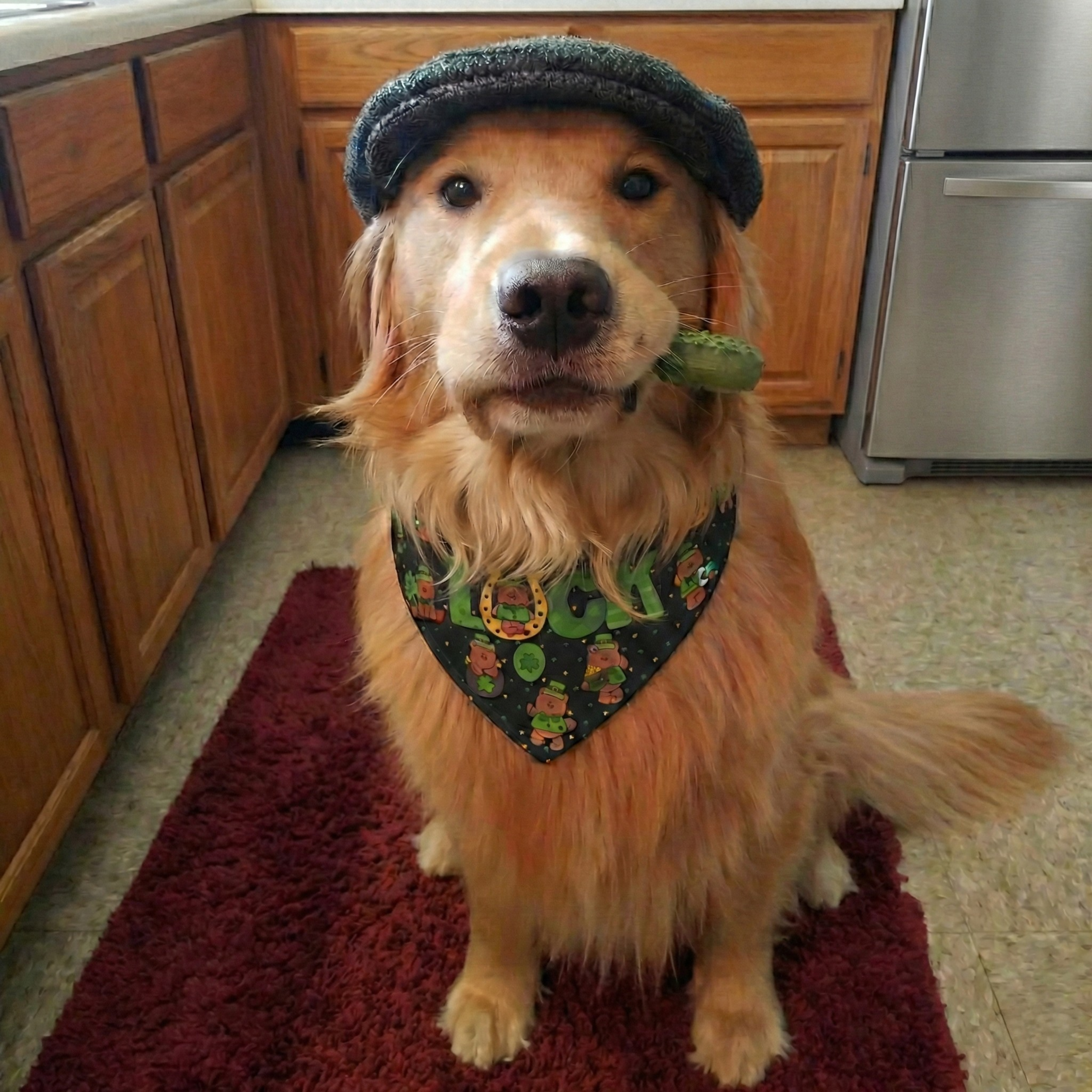 Lucky Bear St. Patrick's Day Dog Bandana